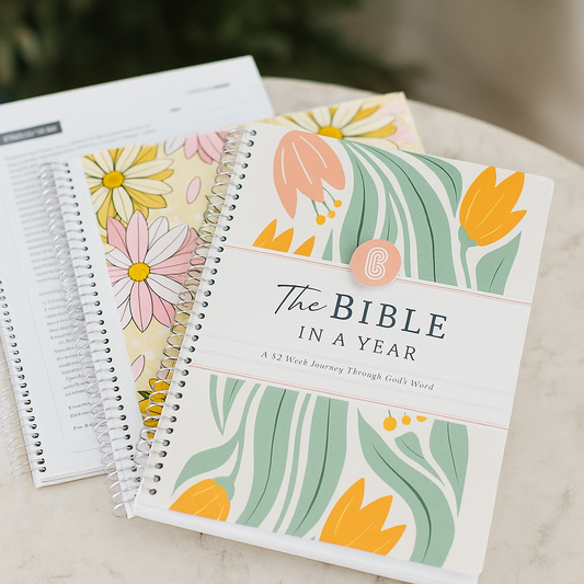 FaithFlow Journal- A Year of Abiding in His Words